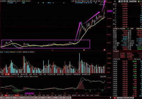 誠邁科技 深度綁定華為生態，軟硬件協同發力鑄就高成長